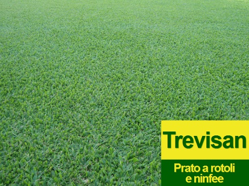 Prato Brasiliano