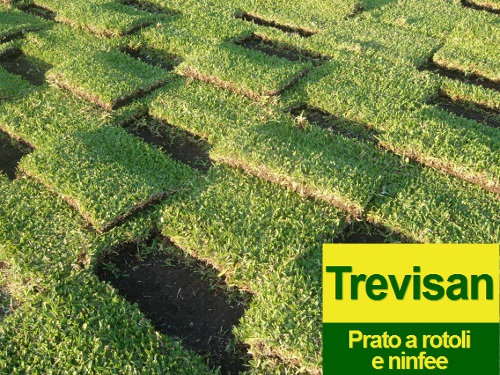 Prato Brasiliano