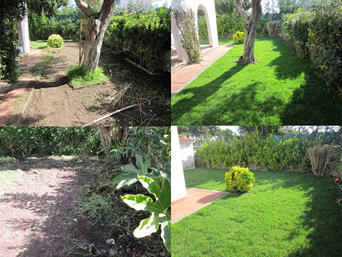 Servizi di giardinaggio